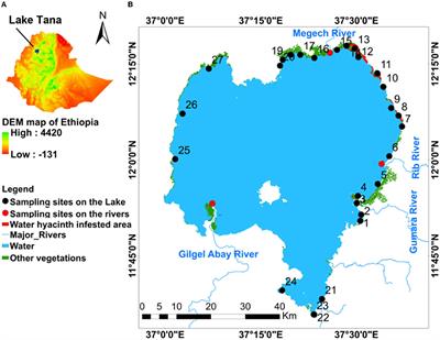 Water Quality Characteristics of a Water Hyacinth Infested Tropical Highland Lake: Lake Tana, Ethiopia
